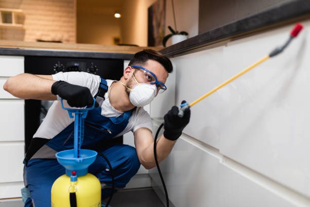 Best Best Pest Control Companies  in St Anthony, ID