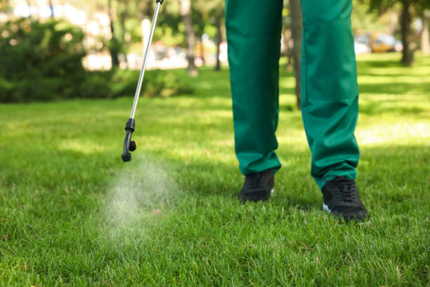 Best Residential Pest Control  in St Anthony, ID