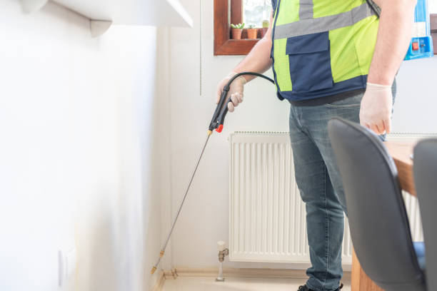 Best Pest Prevention Services  in St Anthony, ID