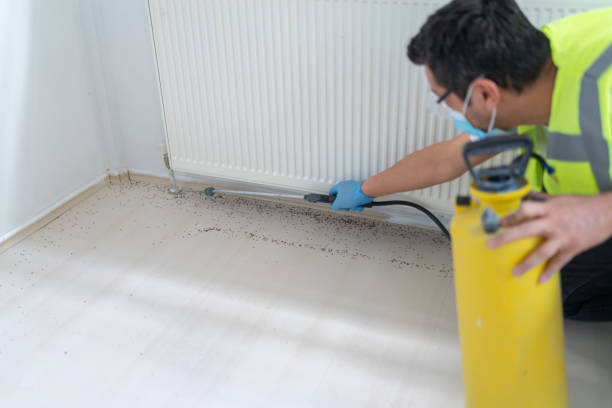 Best Residential Pest Control  in St Anthony, ID
